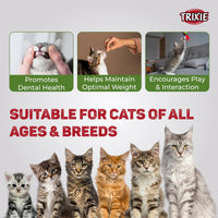 Trixie Premio Chicken Mini Sticks Cat Treat - 50g