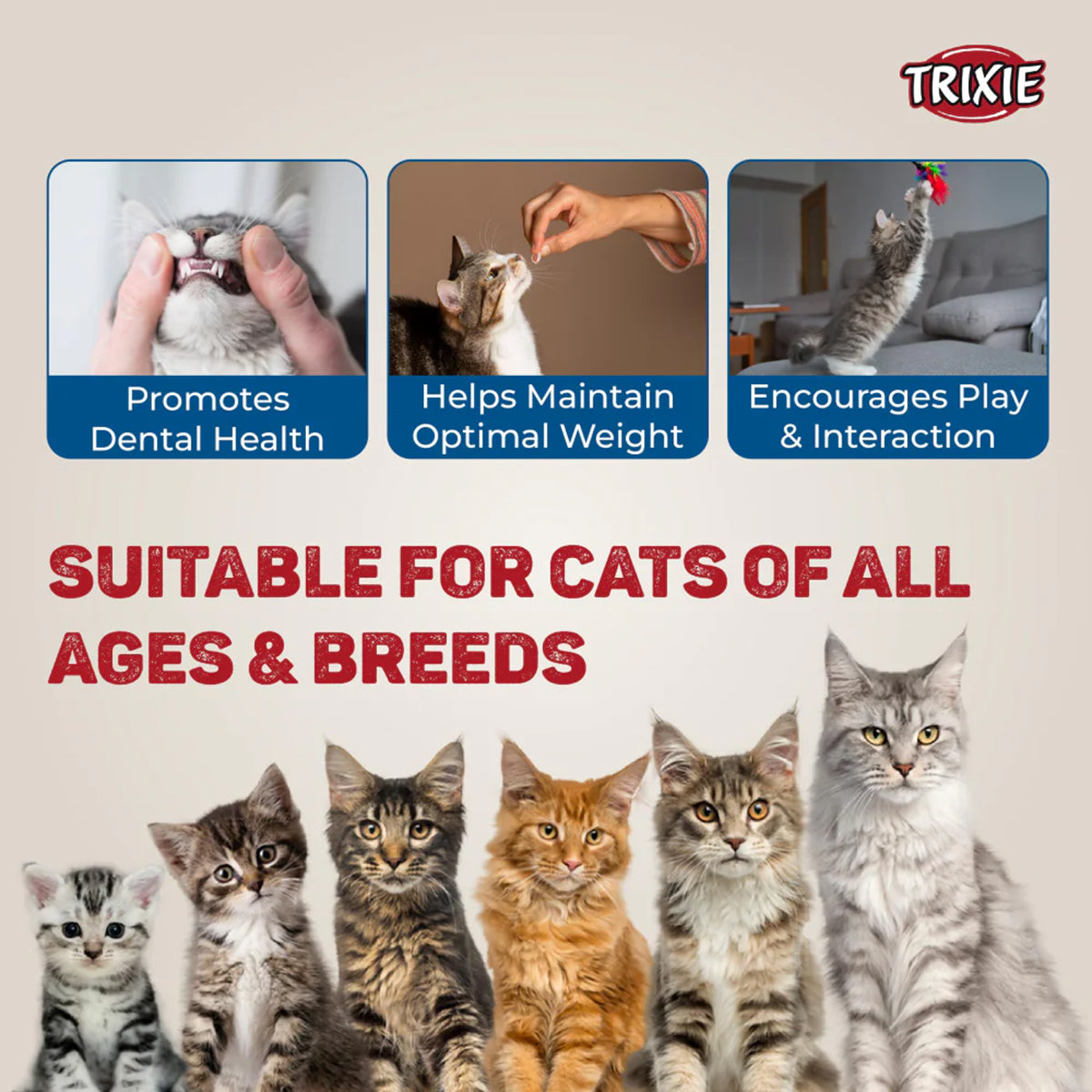 Trixie Premio Trainer Snack Mini Fish Nuggets Cat Treat - 50g