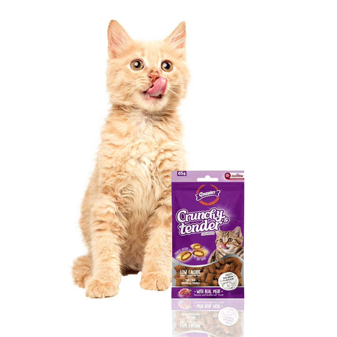 Gnawlers Crunchy Tenders Salmon Flavour Cat Treat - 65g