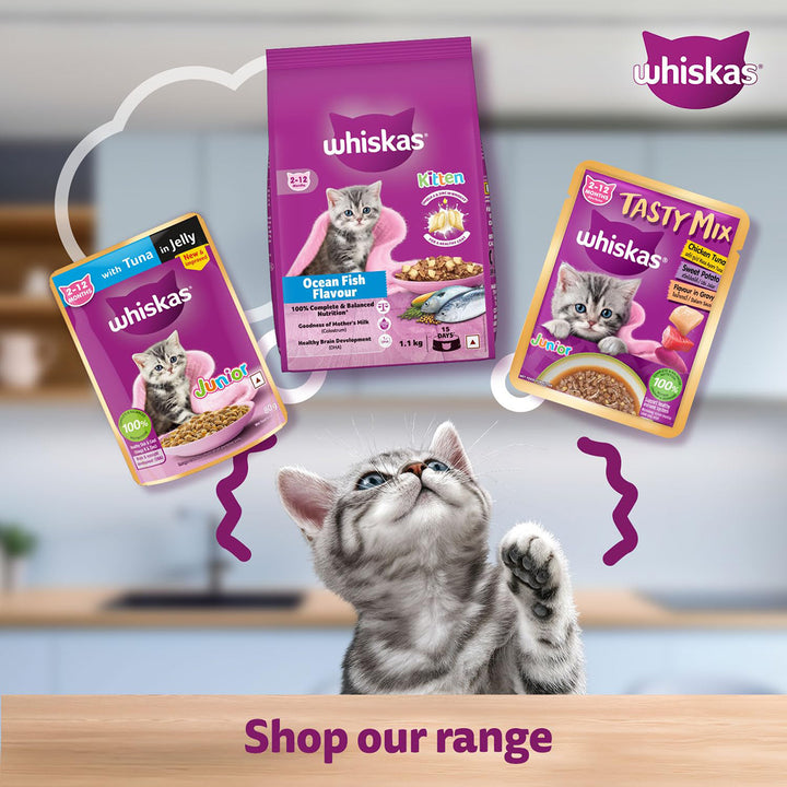 Whiskas Tasty Mix Seafood Cocktail Carrot Gravy Kitten Wet Cat Food - 70g