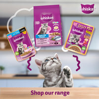 Whiskas Tasty Mix Seafood Cocktail Carrot Gravy Kitten Wet Cat Food - 70g