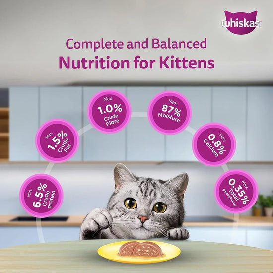 Whiskas Tuna & White Fish Flavour Adult (1+ Years) Wet Cat Food - 70g - Zigly