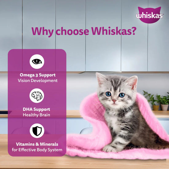 Whiskas Junior Mackerel Flavour Kitten (2-12 Months) Wet Cat Food - 70g - Zigly