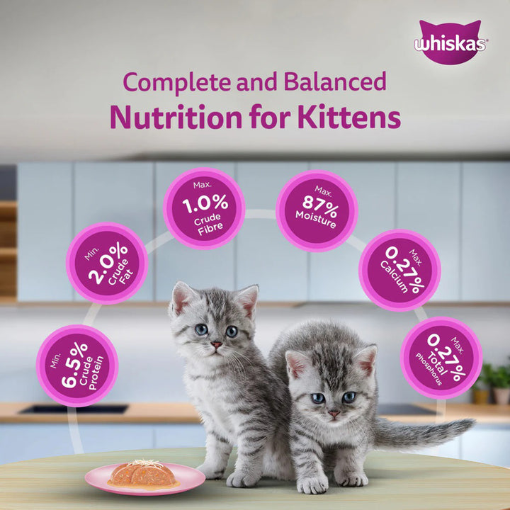 Whiskas Junior Mackerel Flavour Kitten (2-12 Months) Wet Cat Food - 70g