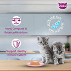 Whiskas Junior Mackerel Flavour Kitten (2-12 Months) Wet Cat Food - 70g - Zigly