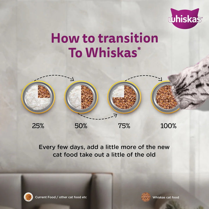 Whiskas Junior Mackerel Flavour Kitten (2-12 Months) Wet Cat Food - 70g