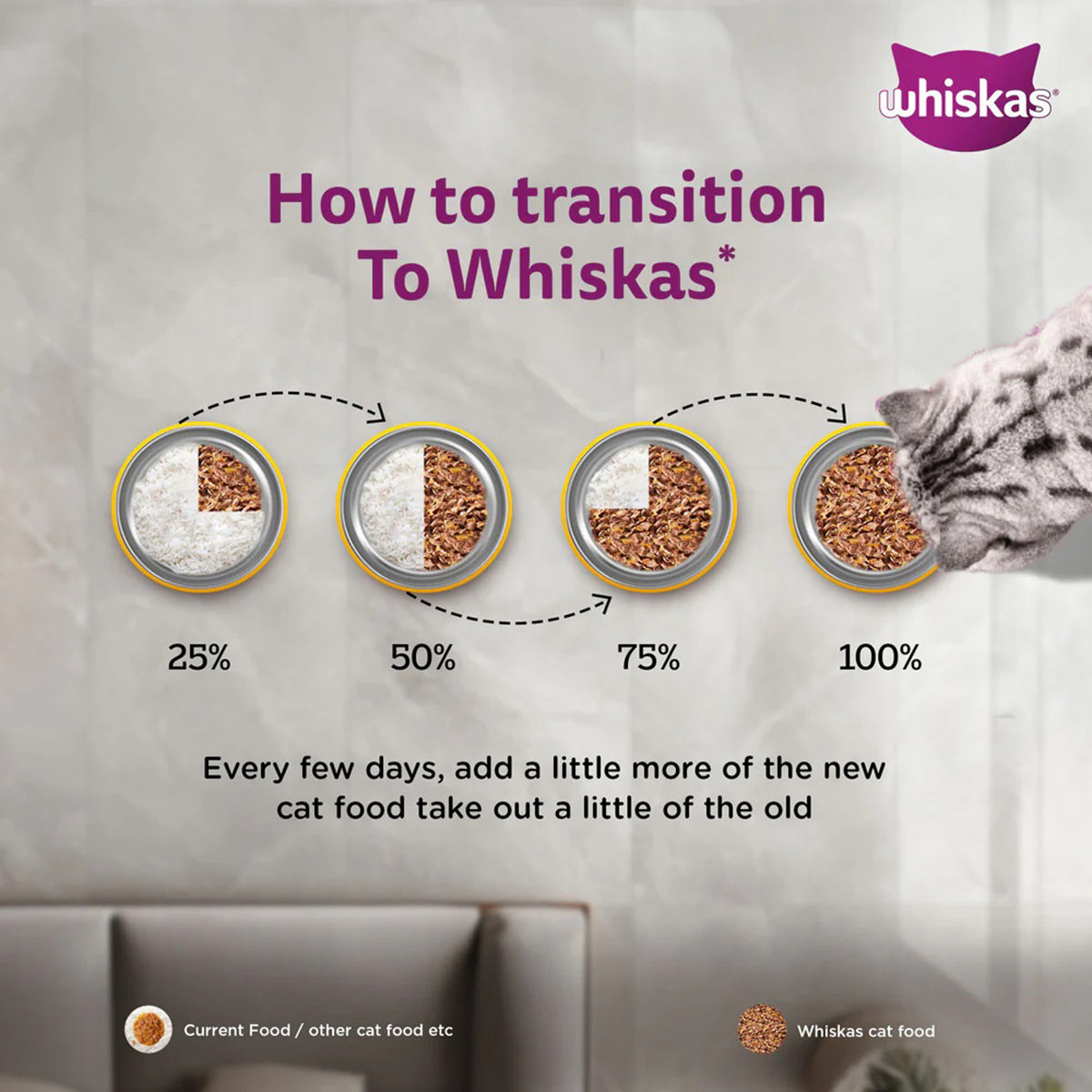Whiskas Junior Mackerel Flavour Kitten (2-12 Months) Wet Cat Food - 70g