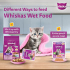 Whiskas Junior Mackerel Flavour Kitten (2-12 Months) Wet Cat Food - 70g - Zigly