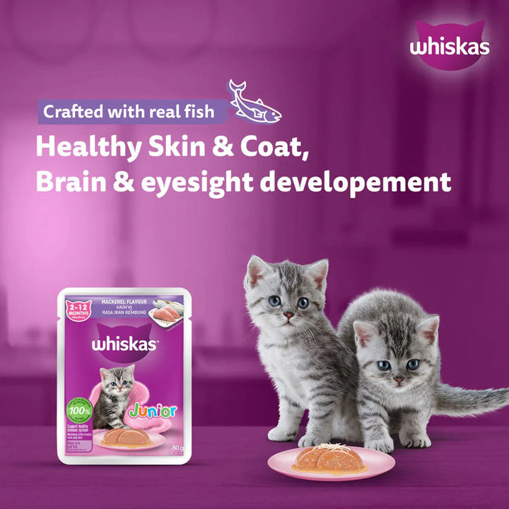 Whiskas Junior Mackerel Flavour Kitten (2-12 Months) Wet Cat Food - 70g