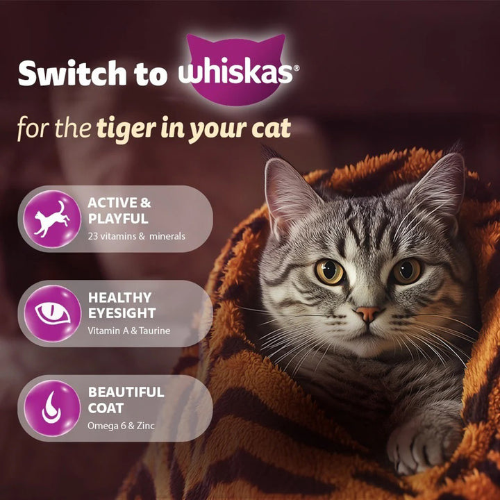 Whiskas Junior Mackerel Flavour Kitten (2-12 Months) Wet Cat Food - 70g