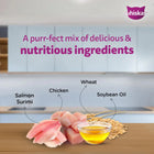 Whiskas Chicken with Salmon in Jelly Kitten (2-12 Months) Wet Cat Food - 70g - Zigly