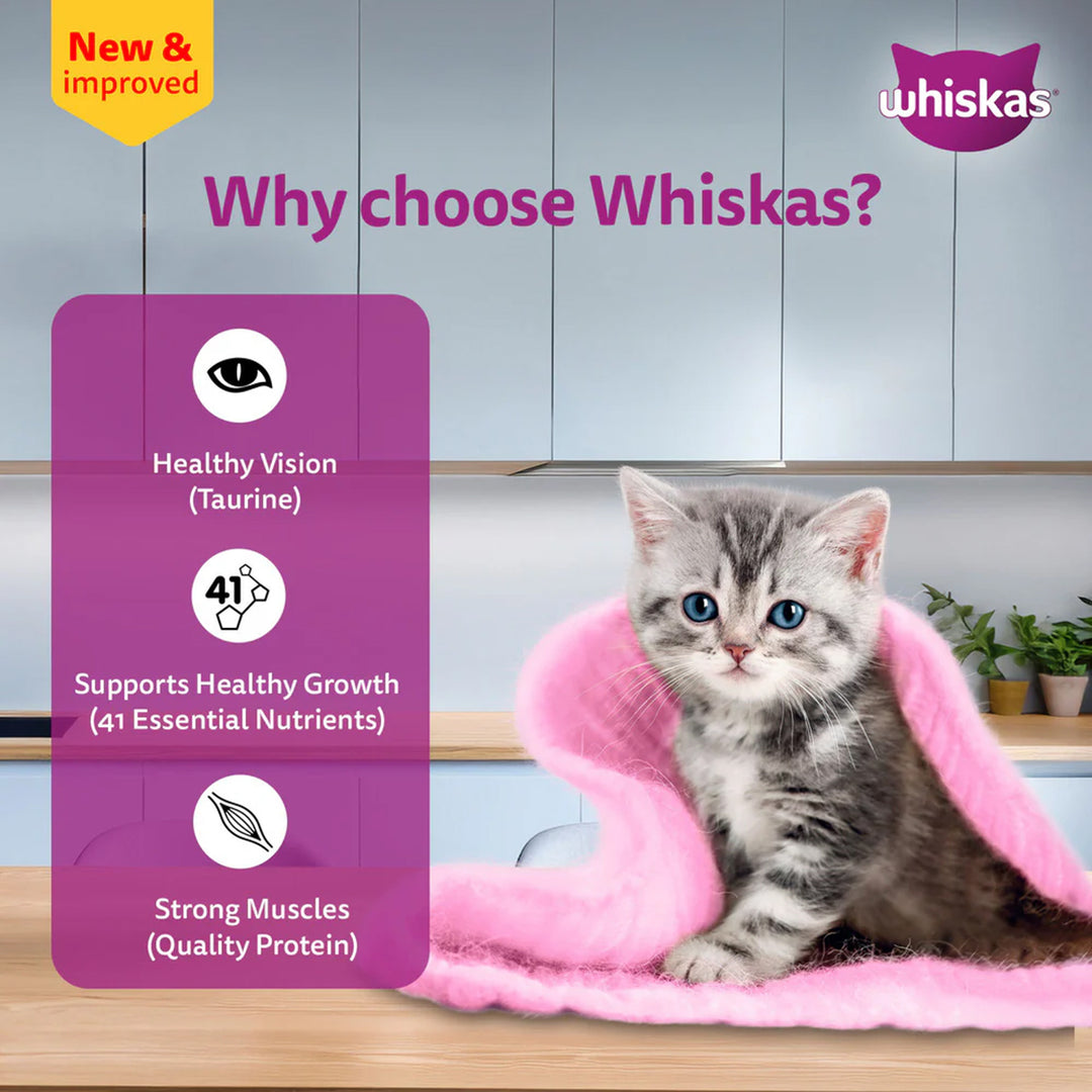 Whiskas Chicken with Salmon in Jelly Kitten (2-12 Months) Wet Cat Food - 70g - Zigly