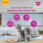 Whiskas Chicken with Salmon in Jelly Kitten (2-12 Months) Wet Cat Food - 70g - Zigly