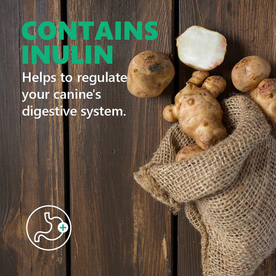 jerhigh-spinach-dog-meaty-treat-70-g