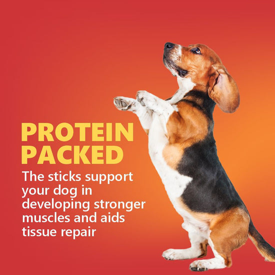 jerhigh-stix-dog-meaty-treat-100-g