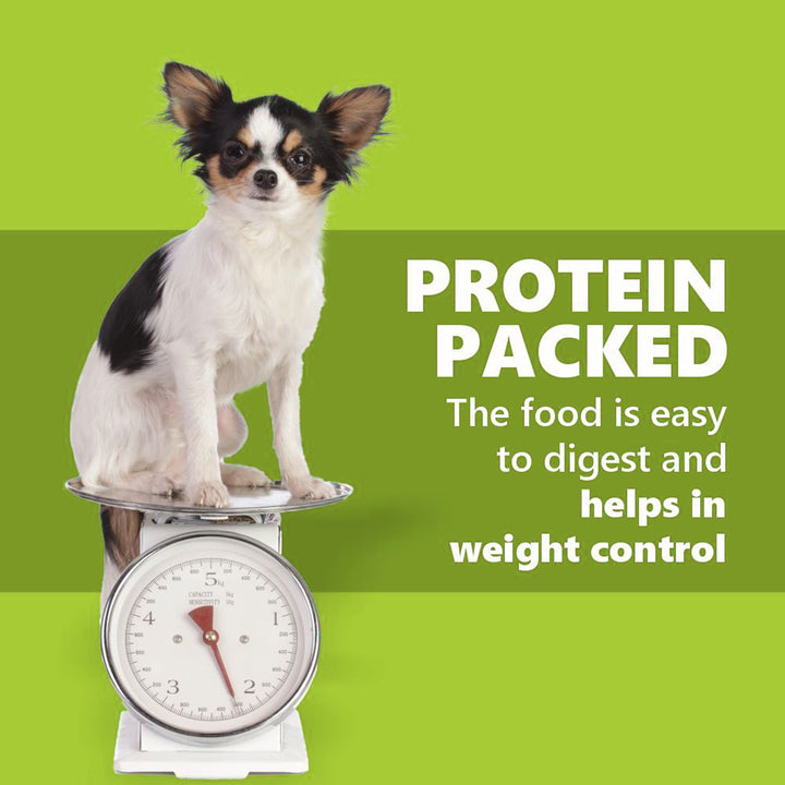 JerHigh Spinach Dog Meaty Treat - 100g
