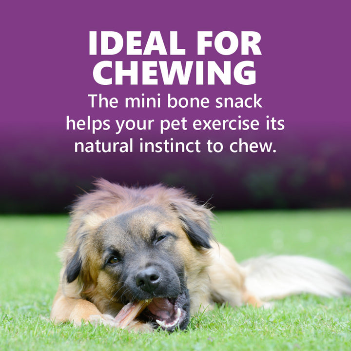 Gnawlers Puppy Snack Mini Bone Assorted Flavor Puppy Treat - 250g