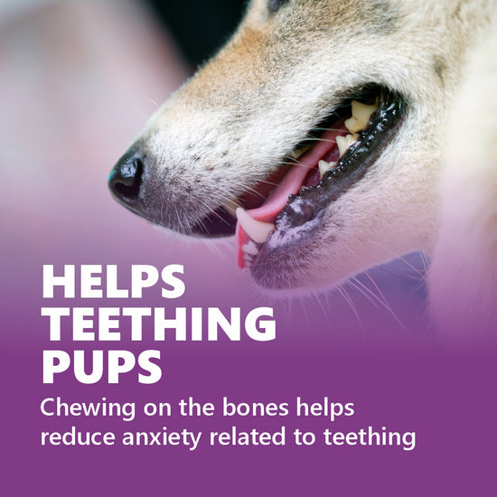 gnawlers-puppy-snack-mini-bone-assorted-flavor-puppy-treat-250-g