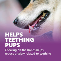 Gnawlers Puppy Snack Mini Bone Assorted Flavor Puppy Treat - 250g