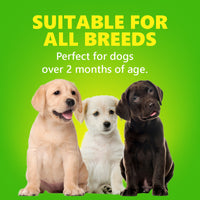Gnawlers Puppy Snack Seaweed Bone with Seaweed Puppy Treat - 180g