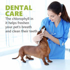 Gnawlers Dentalight Dental Bone 60 in 1 Dog Treat Small - Dental Treat - 540g - Zigly