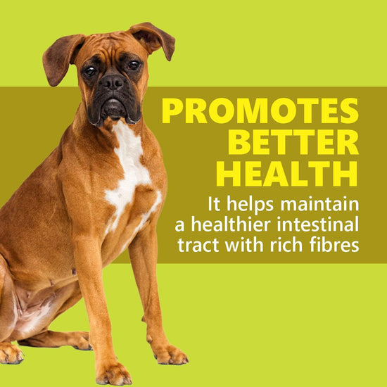 gnawlers-dentalight-dental-bone-60-in-1-dog-treat-small-540-g