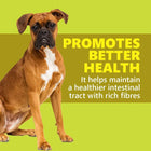 Gnawlers Dentalight Dental Bone 60 in 1 Dog Treat Small - Dental Treat - 540g - Zigly