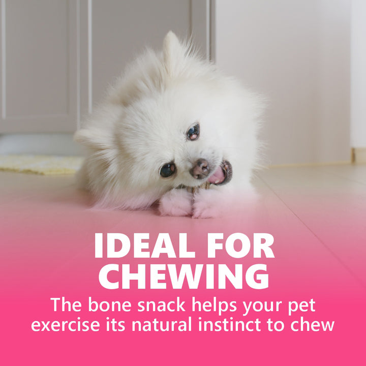 Gnawlers Howbone Dog Snack Mini 30-in-1 Milk Dog Treat – 270g
