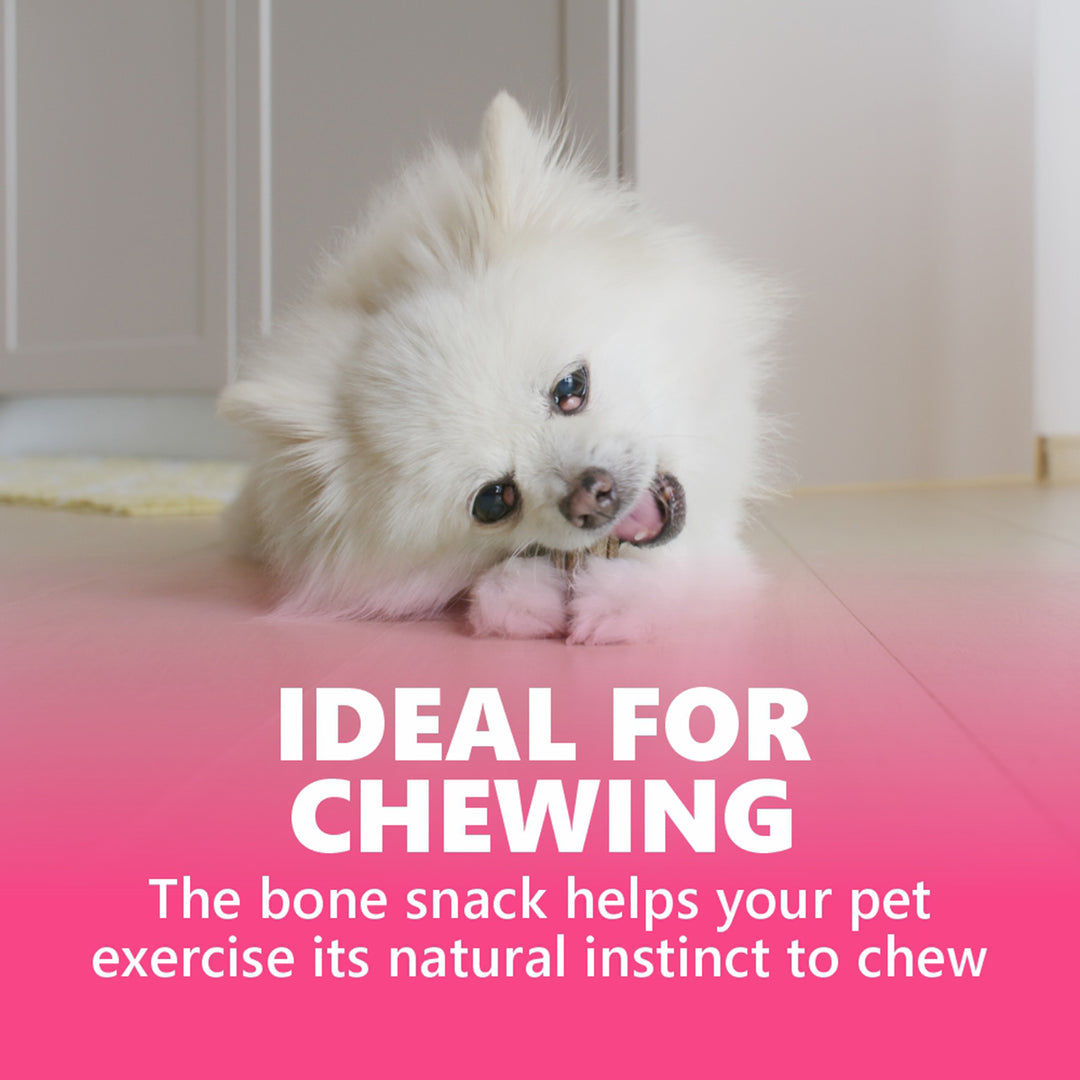 Gnawlers Howbone Dog Snack Mini 30-in-1 Milk Dog Treat – 270g
