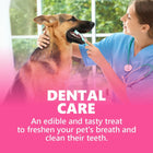 Gnawlers Calcium Milk Bone No Meat with Added Calcium Small Dog Dental Treat - Zigly