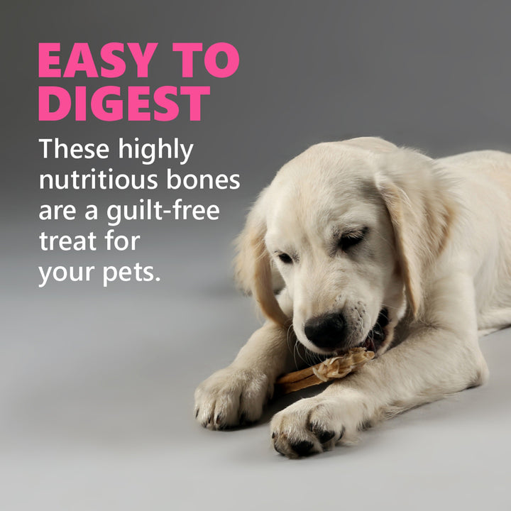 Gnawlers Calcium Milk Bone No Meat with Added Calcium Small Dog Dental Treat
