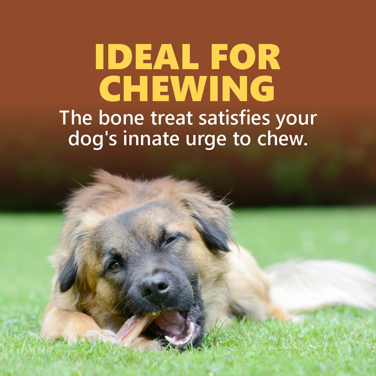 Gnawlers Calcium Chicken Sticks No Meat with Added Calcium Dog Dental Treat - 270g