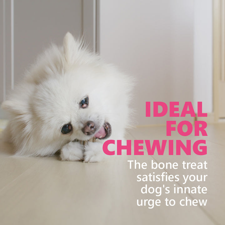 Gnawlers Calcium Milk Sticks No Meat with Added Calcium Dog Dental Treat - 270g