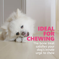 Gnawlers Calcium Milk Sticks No Meat with Added Calcium Dog Dental Treat - 270g