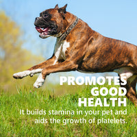 Gnawlers Calcium Milk Sticks No Meat with Added Calcium Dog Dental Treat - 270g