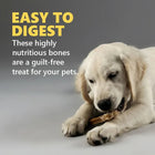 Gnawlers Calcium Milk Bone No Meat with Added Calcium 35 in 1 Medium Dog Dental Treat - 800g - Zigly