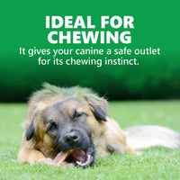 Goodies Energy Treats Chlorophyll Flavour Dog Dental Treat - 500g