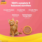 Purina Friskies Kitten Dry Food