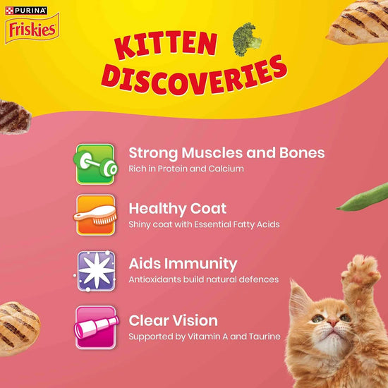 Purina Friskies Kitten Dry Food
