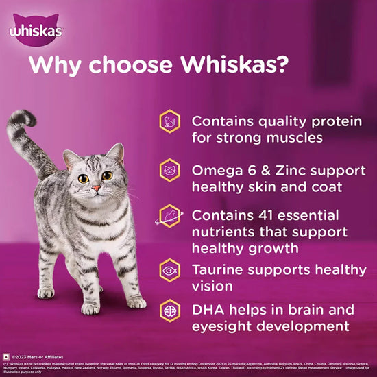 Whiskas Tuna in Jelly Wet Cat Food - All Breeds Kitten (2-12 months) - 14 Pouches (14 x 85g) - Zigly