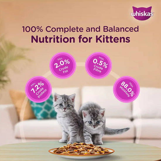Whiskas Tuna in Jelly Wet Cat Food - All Breeds Kitten (2-12 months) - 14 Pouches (14 x 85g) - Zigly
