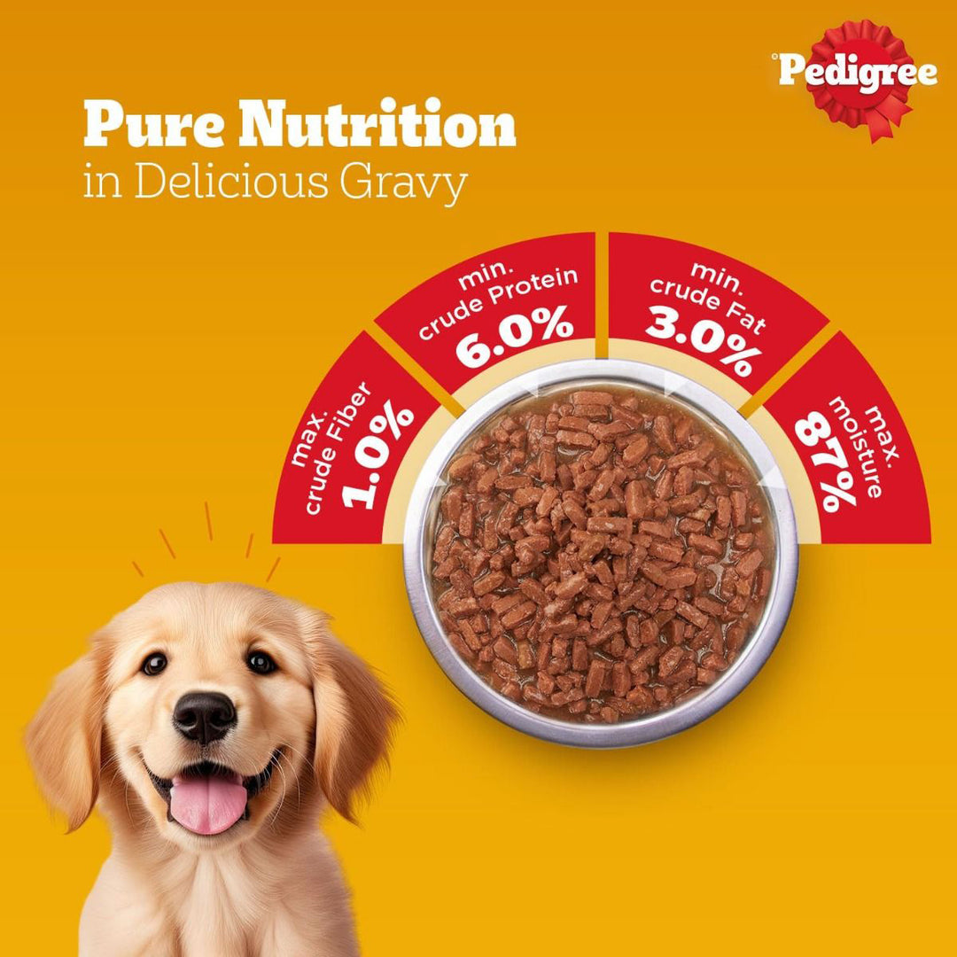 Pedigree Lamb Flavour Chunks in Gravy Puppy Wet Dog Food - 130g
