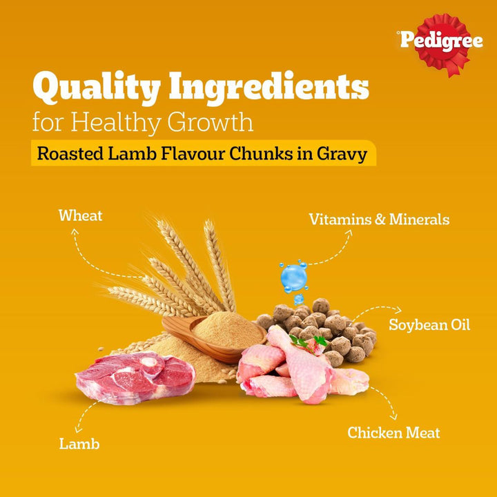 Pedigree Lamb Flavour Chunks in Gravy Puppy Wet Dog Food - 130g