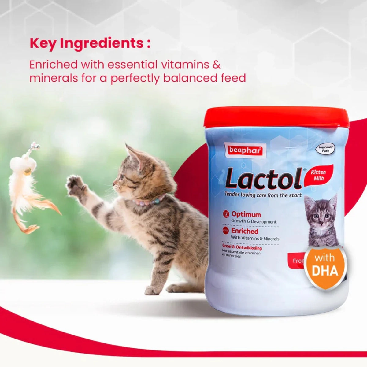 Beaphar Lactol Newborn Kitten Milk Replacer - 400g