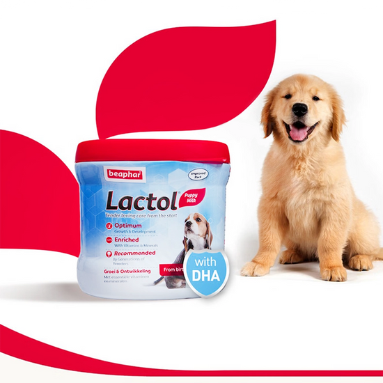 Beaphar Lactol (Milk Replacer) for Newborn & Weaning Puppies (200g)