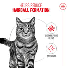 Royal Canin Hairball Care Adult Dry Cat Food