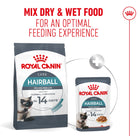 Royal Canin Hairball Care Adult Dry Cat Food