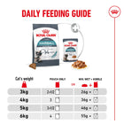 Royal Canin Hairball Care Adult Dry Cat Food