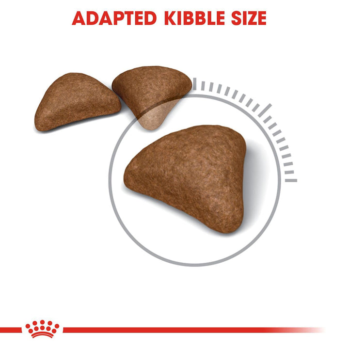 Royal Canin Hairball Care Dry Cat Food - All Breed Adult - 2kg