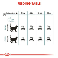Royal Canin Hairball Care Dry Cat Food - All Breed Adult - 2kg